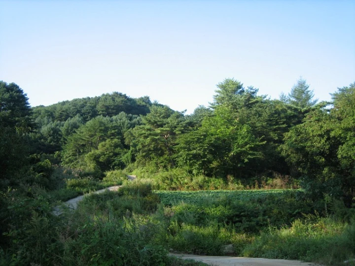 임야 이미지