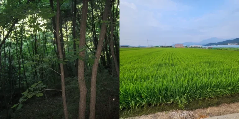 농지 및 산지 이미지