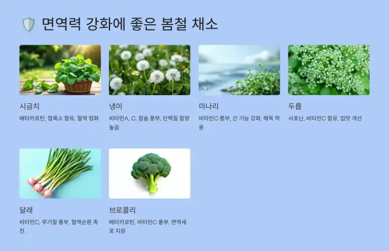 🛡️ 면역력 강화에 좋은 봄철 채소