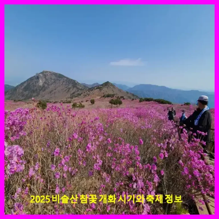 2025 비슬산 참꽃 개화 시기와 축제 정보