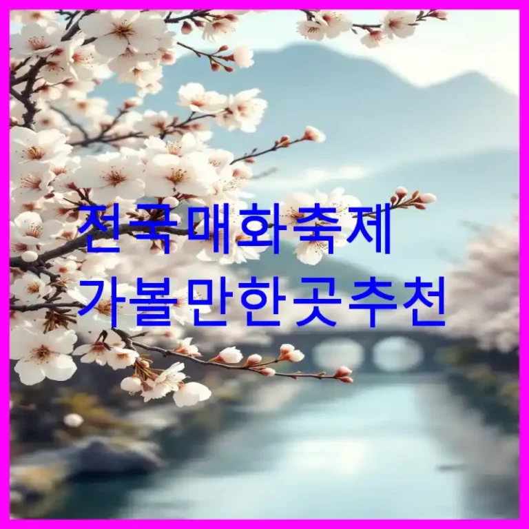 전국 매화 축제 가볼 만한 곳 추천