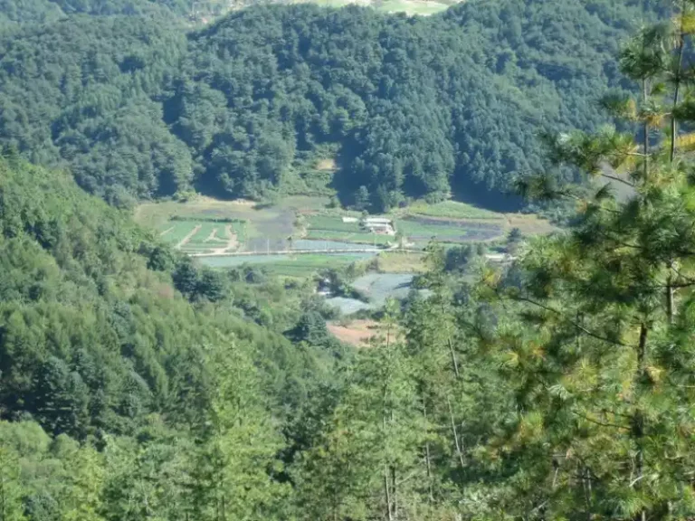 노후에 땅 사야 하는 이유