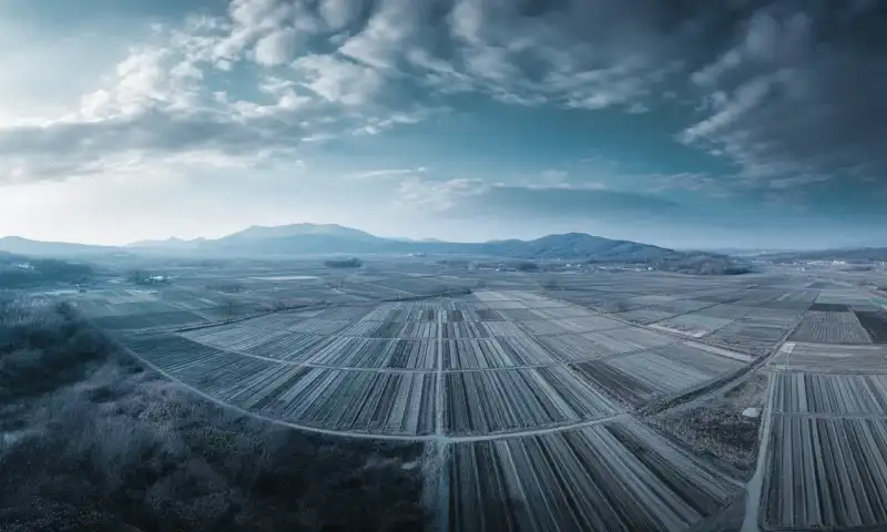 2025년 농지 2필지 이상 구입 시 세금폭탄 진짜일까?