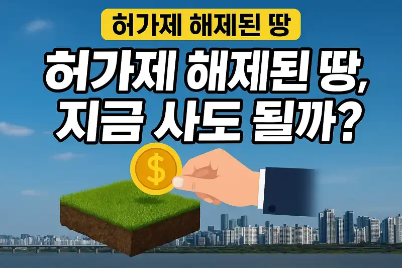 허가제 해제된 땅, 지금 사도 될까?