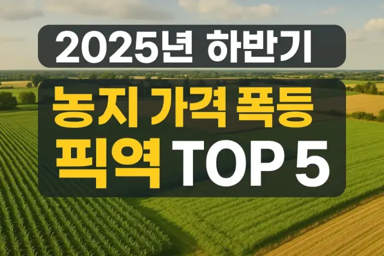2025년 하반기 농지 가격 폭등 지역 TOP 5