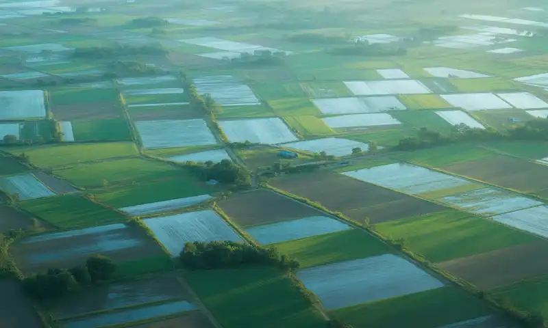 농지 양도소득세 절세하는 똑똑한 방법 2025