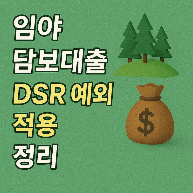 임야 담보대출 시 DSR 예외 적용 정리