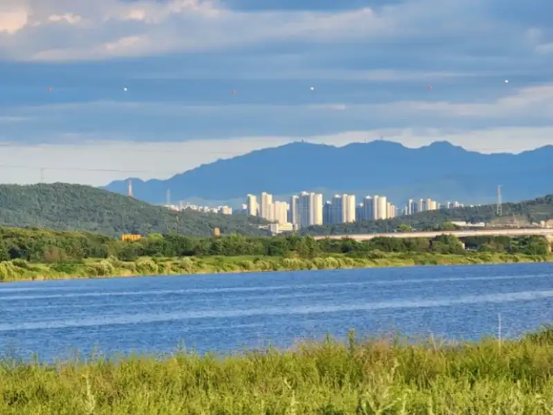 3채 보유한 제가 직접 겪은 다주택자 주택 처분 순서, 수천만 원 갈린 세금 전략