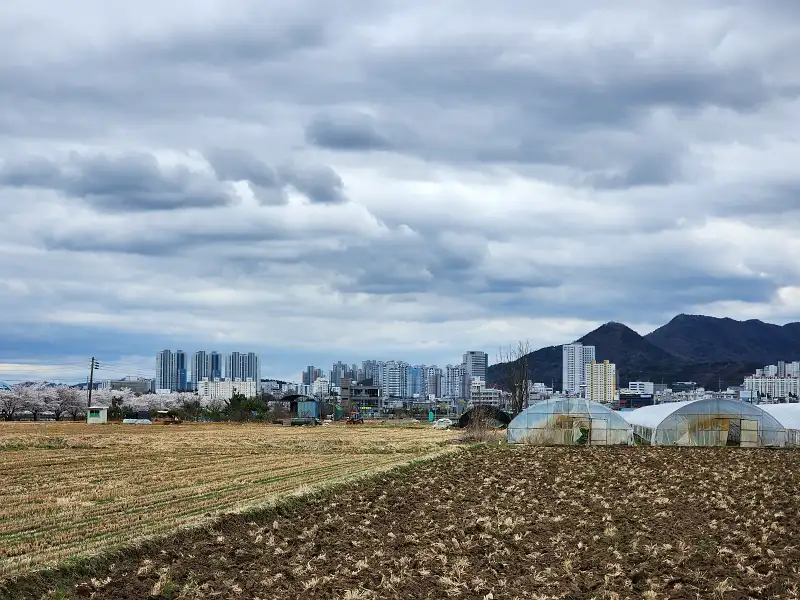 농지 경매 낙찰받고 보증금 날릴 뻔한 사연